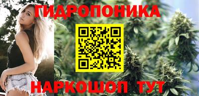 винт Пенза