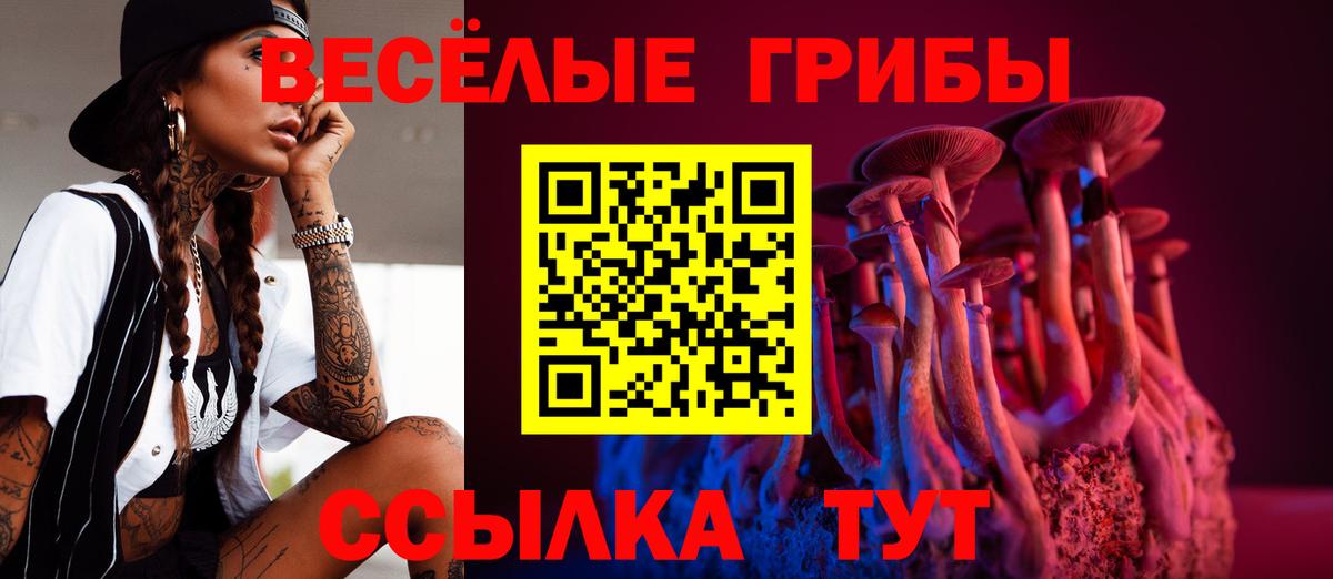 Галлюциногенные грибы прущие грибы Сызрань